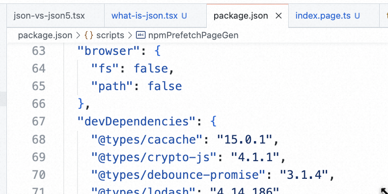 JSON Data in NPM package.json